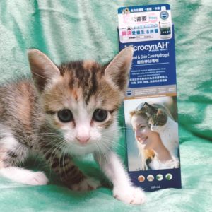 貓補品,護理醫護