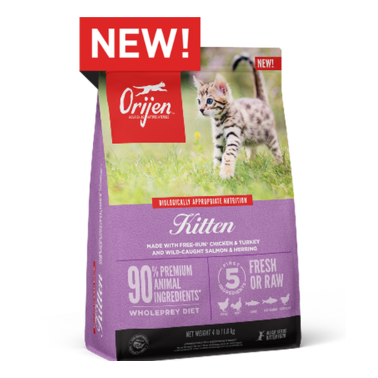 ORI-Kitten-Carousel-556x800_1_NEW