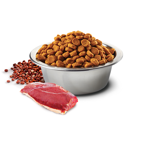 438_07_bowl-nd-quinoa-duck