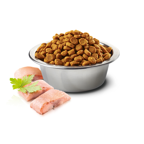 494_18_nd-grain-free-pesce